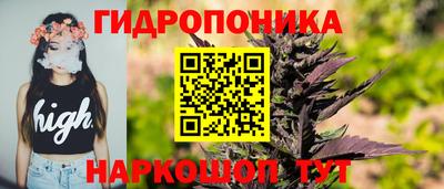 бошки Пугачёв