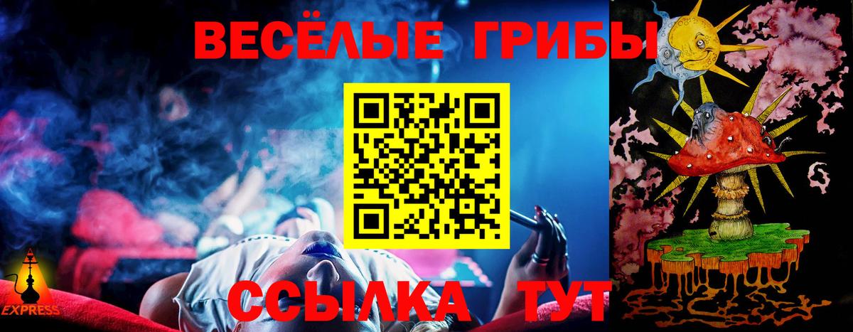 Галлюциногенные грибы прущие грибы  Вход с VPN  Ачхой-Мартан 